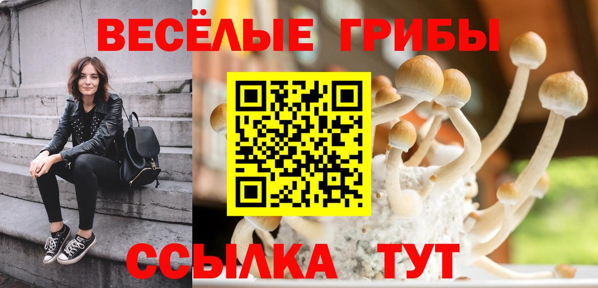 Галлюциногенные грибы ЛСД Дербент