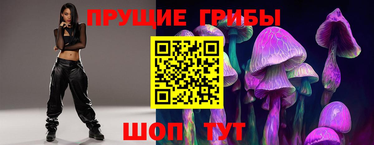 Псилоцибиновые грибы Psilocybe  Вход с VPN  Дербент 